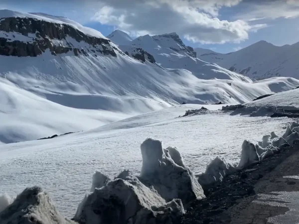 7 Nights / 8 Days Majestic Ladakh Tour